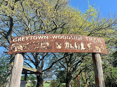 Trail of the Month - Greytown Rail Trail