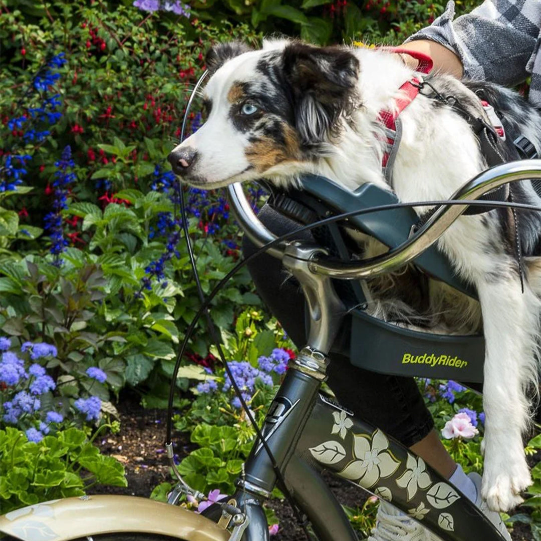 BuddyRider 犬用キャリア グレー BuddyRider 犬用キャリア グレー Buddyrider Dog Bike Carrier
