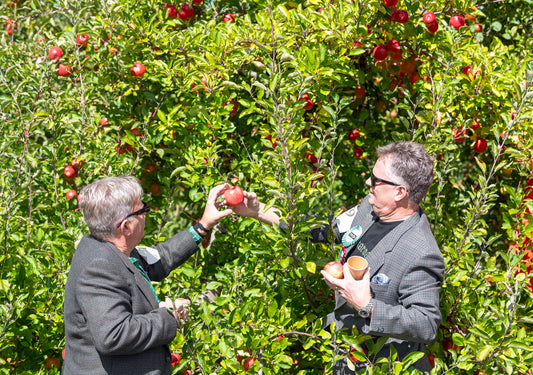 Hootenanny_310324_090.jpg__PID:bfa17f11-8698-4a8d-90ad-84aabd12dabb 1