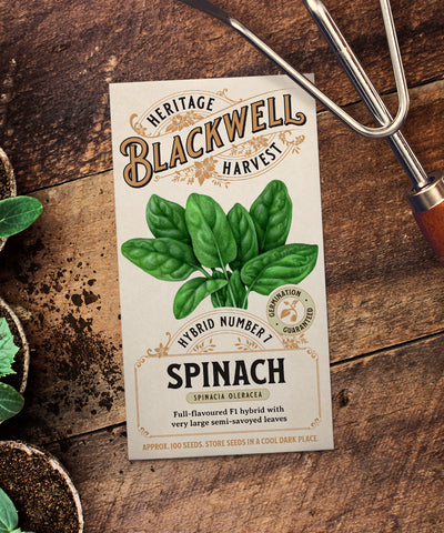 Blackwell Heritage Harvest Seeds - Hybrid Number 7 Spinach