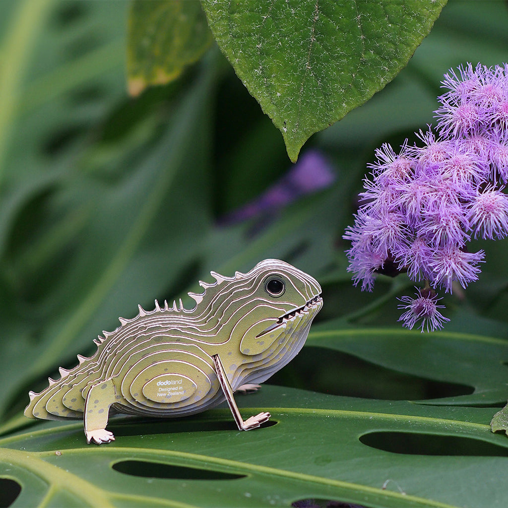 Tuatara EUGY