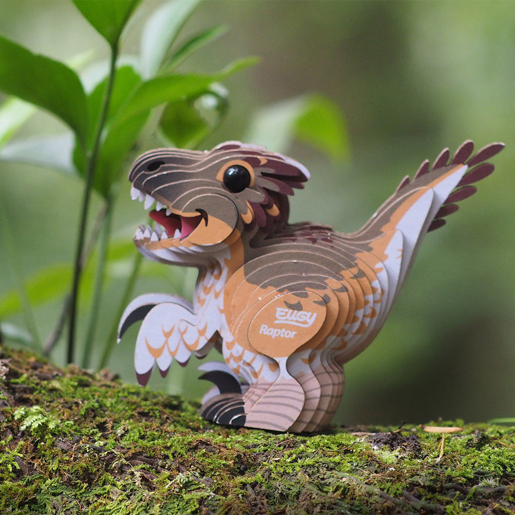 Raptor EUGY