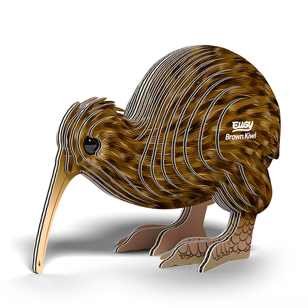 Brown Kiwi EUGY