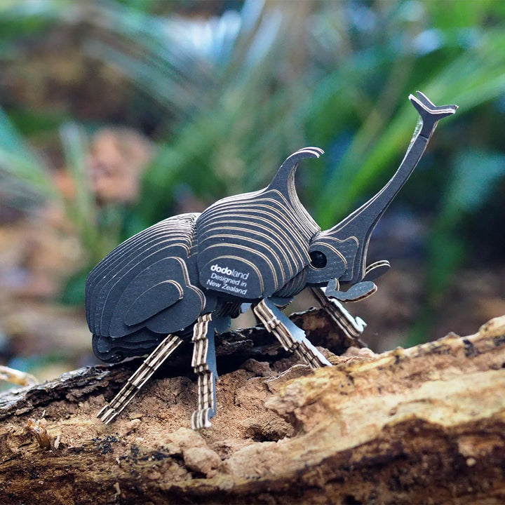 Rhino Beetle EUGY