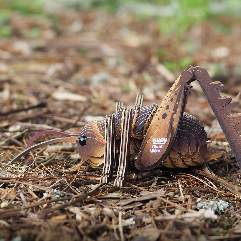 Giant Weta EUGY