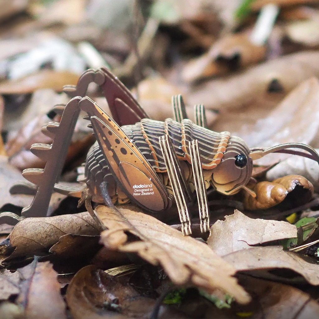 Giant Weta EUGY