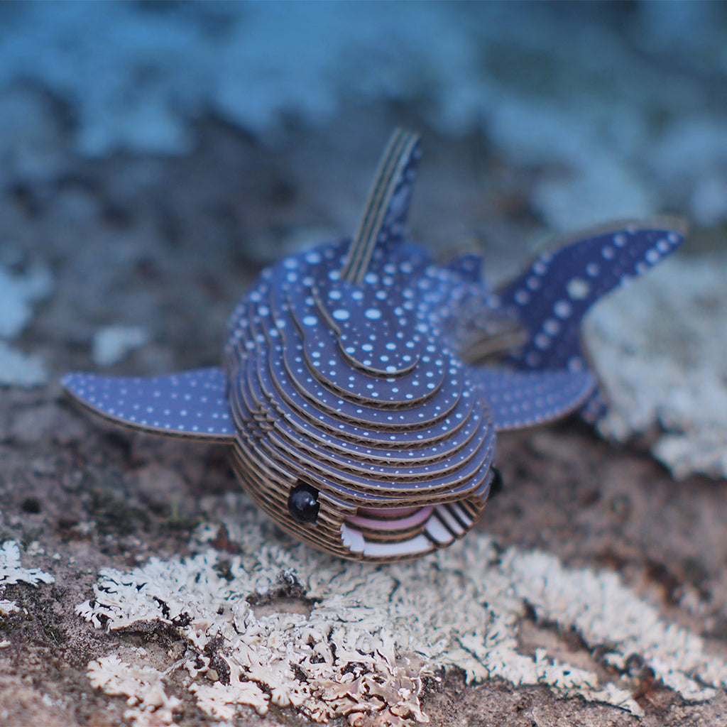 Whale Shark EUGY