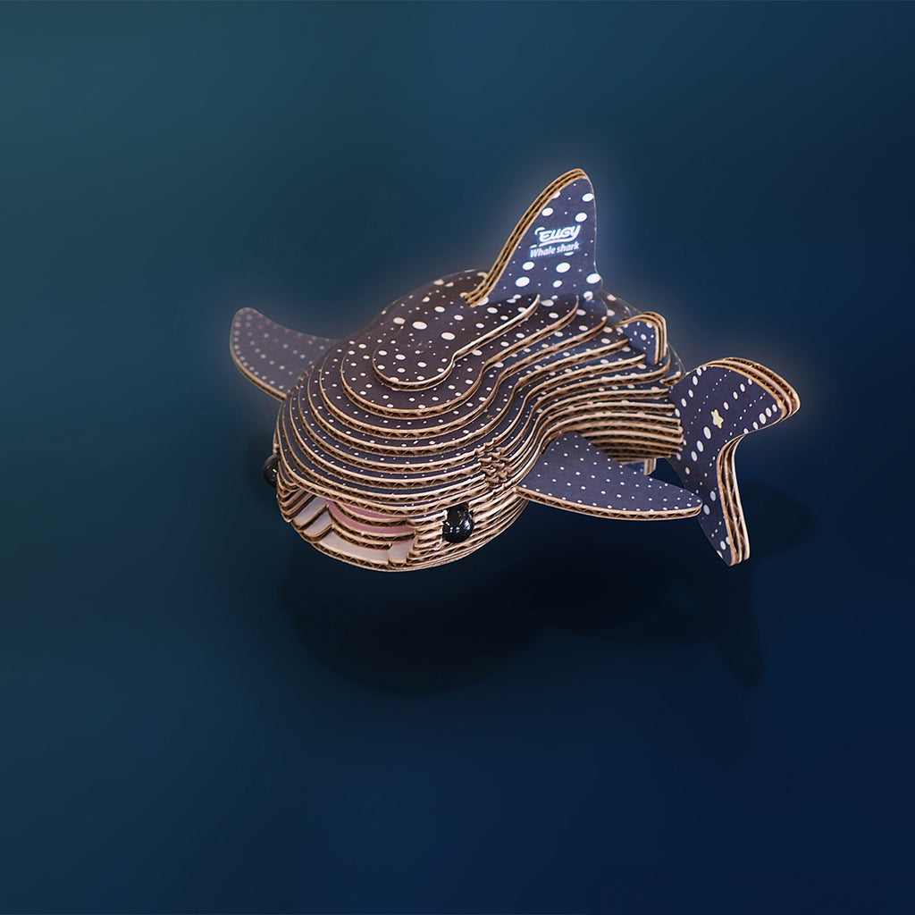 Whale Shark EUGY