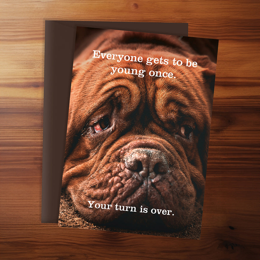 Card with a brown dog's face and humorous text on a wooden surface