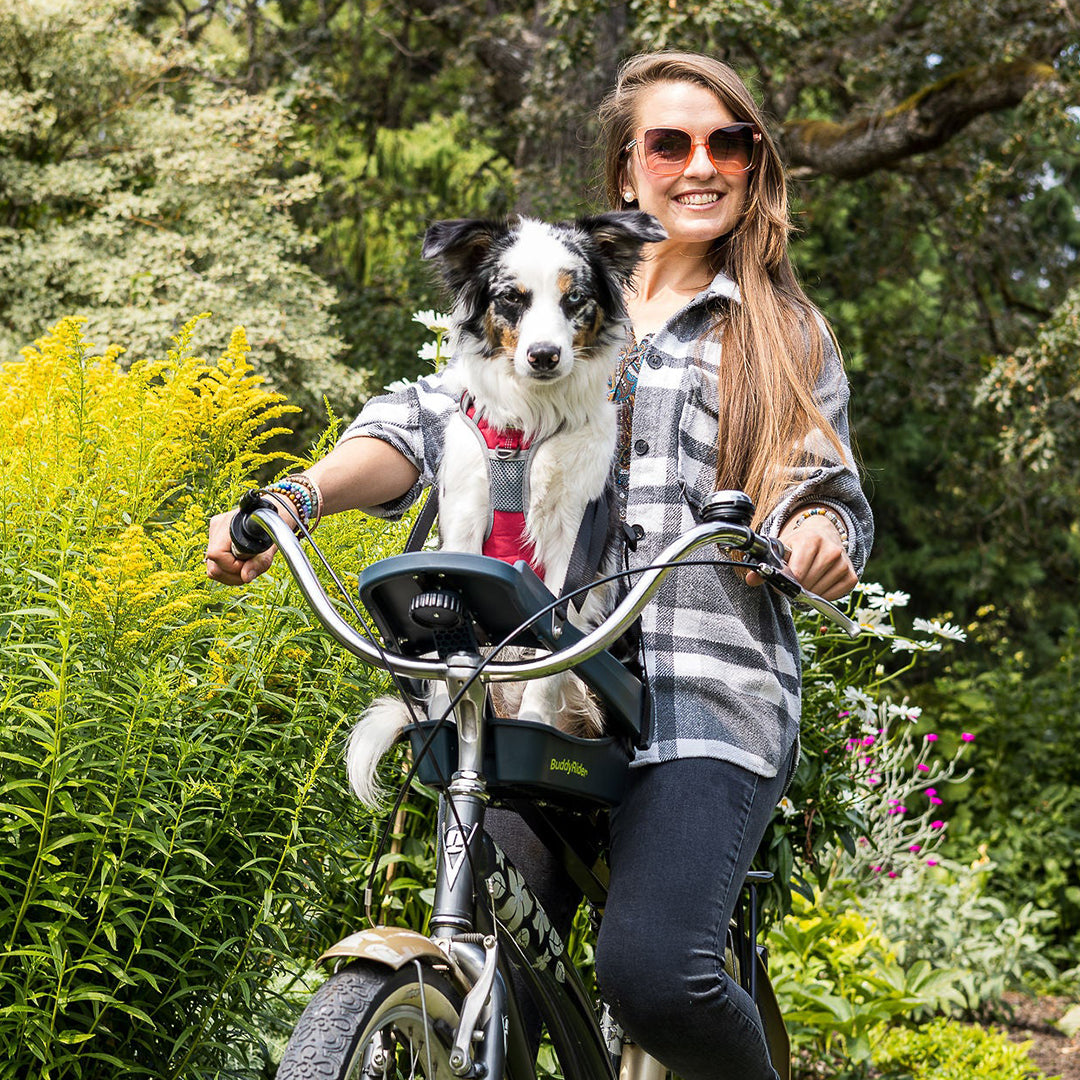 Buddyrider Bicycle Pet Seat - Series 2