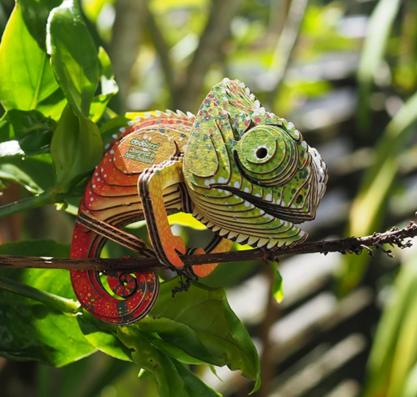Chameleon EUGY