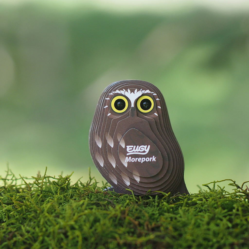 Morepork EUGY