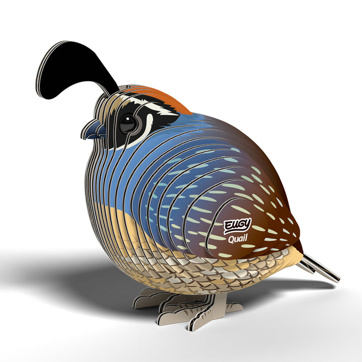 Quail EUGY