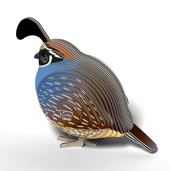 Quail EUGY