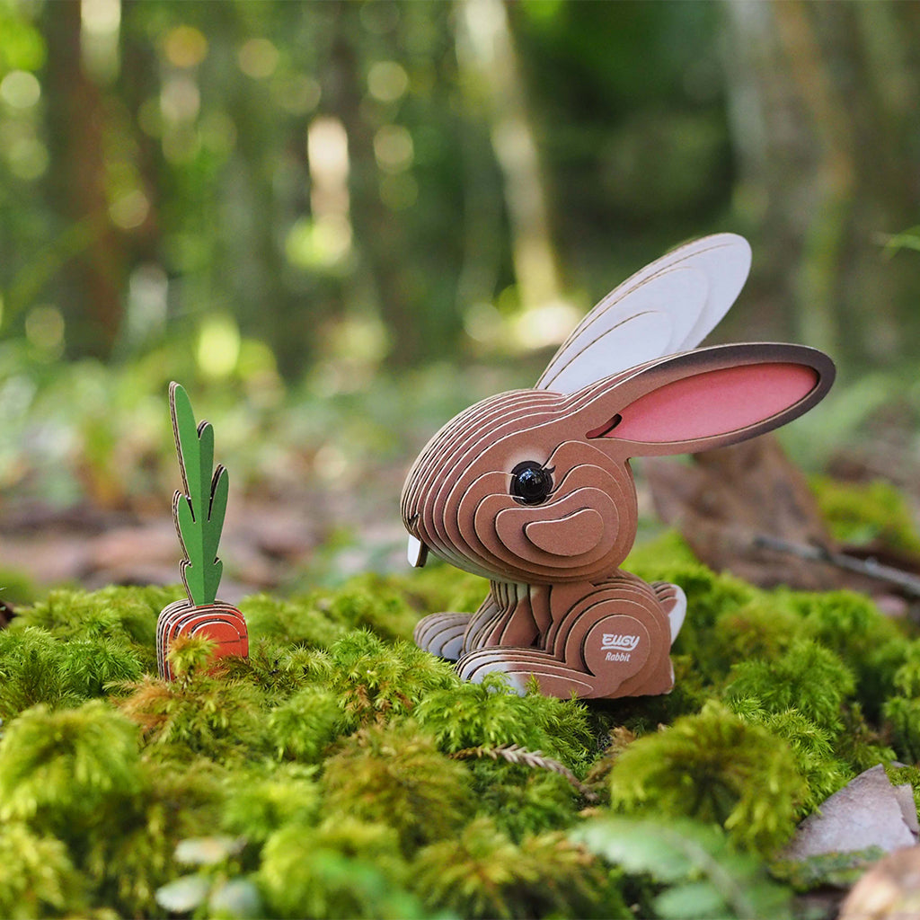 Rabbit EUGY