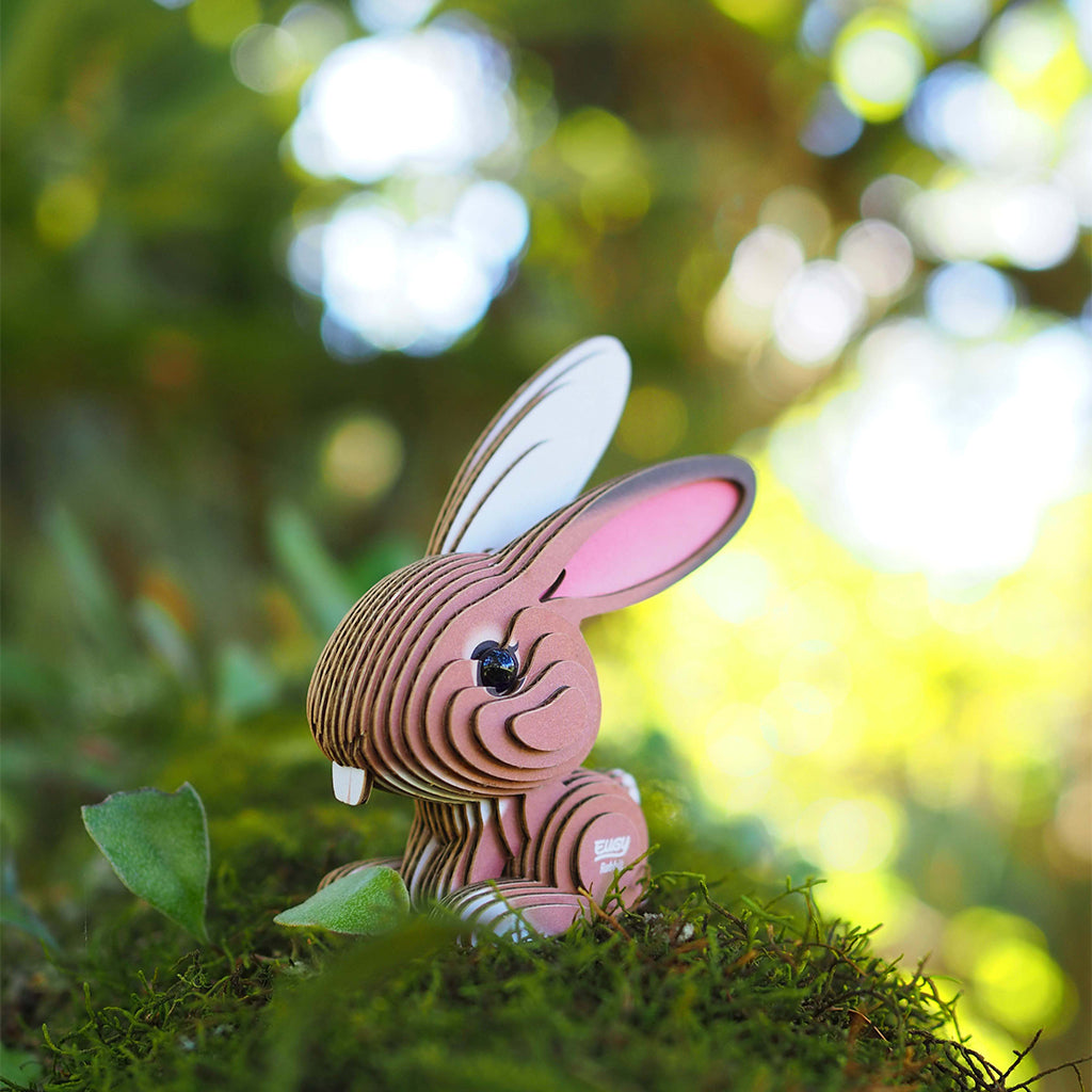 Rabbit EUGY