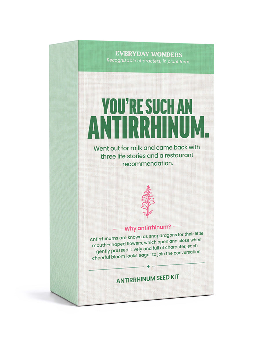 Stems of Wonder - You're Such a Antirrhinum