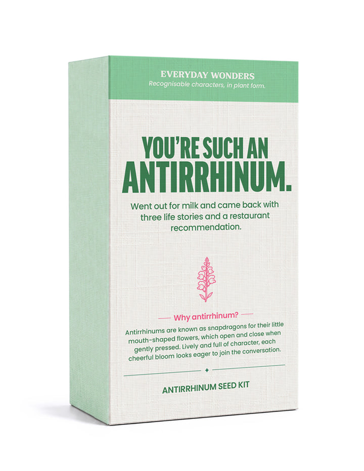 Stems of Wonder - You're Such a Antirrhinum