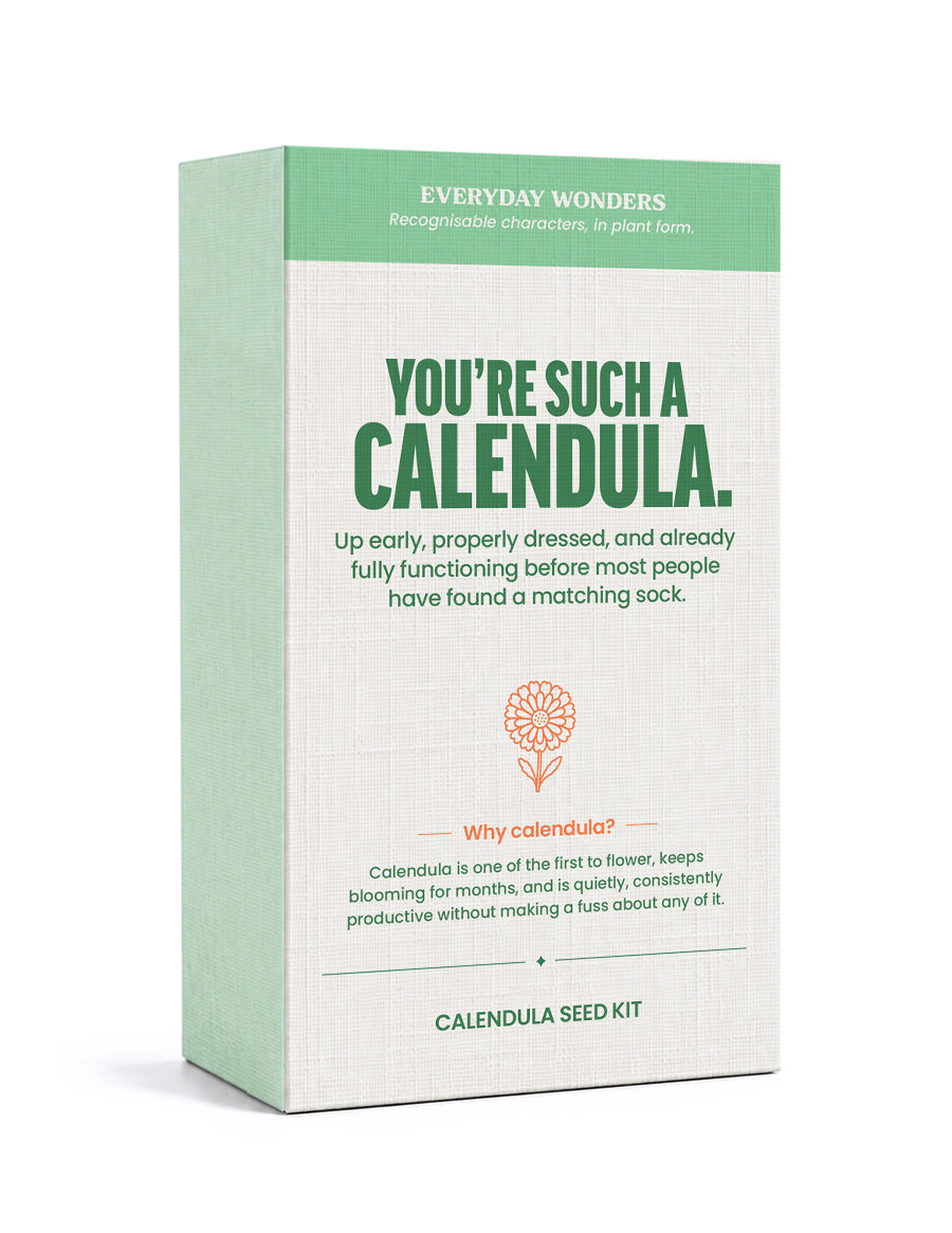 Stems of Wonder - You're Such a Calendula