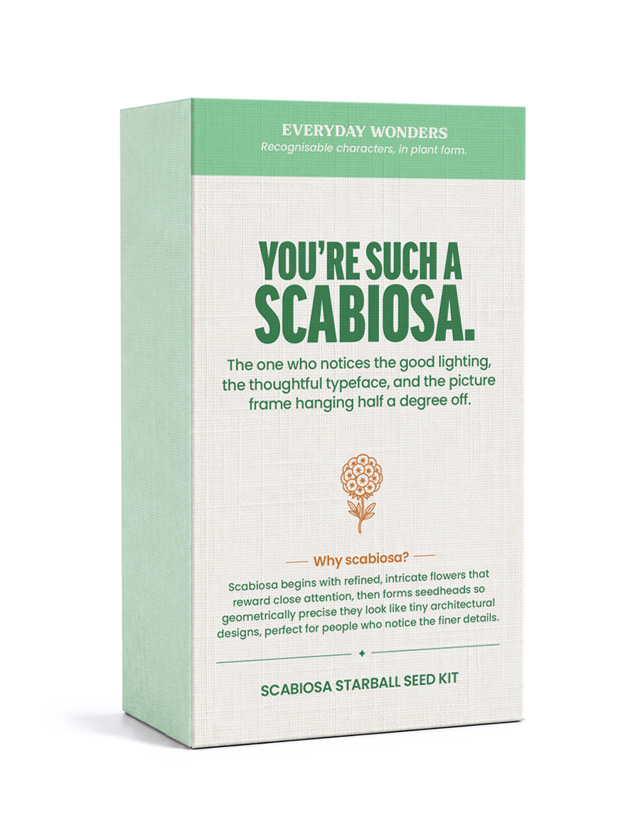Stems of Wonder - You're Such a Scabiosa
