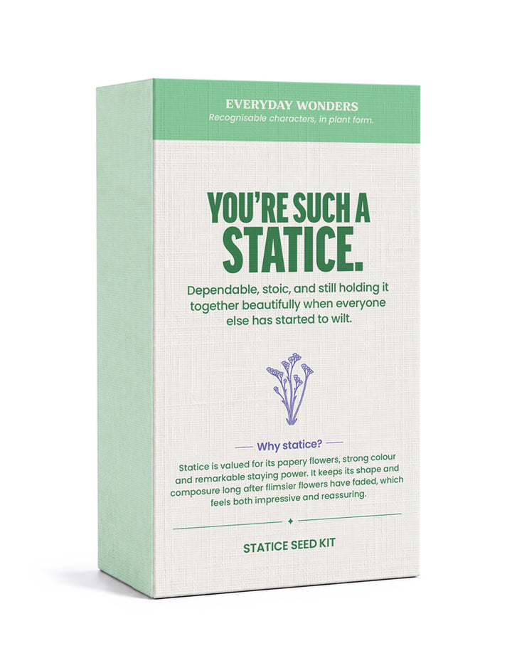 Stems of Wonder - You're Such a Statice