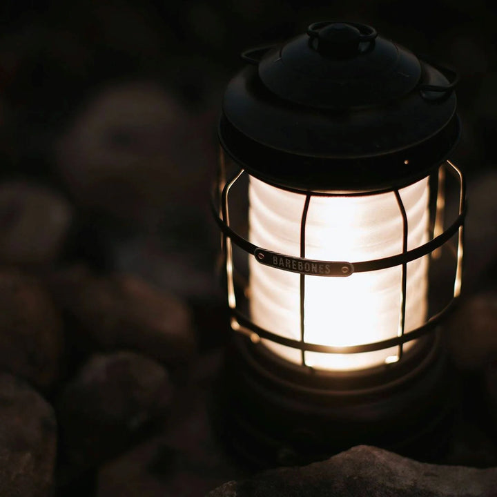 Barebones Forest Lantern - Antique Bronze