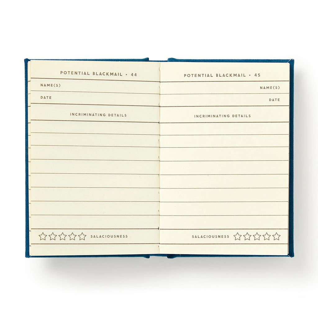 Future Blackmail Tiny Diary