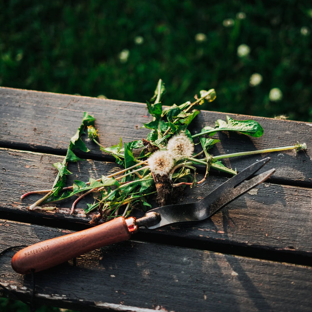 Barebones Dandelion Weeding Fork