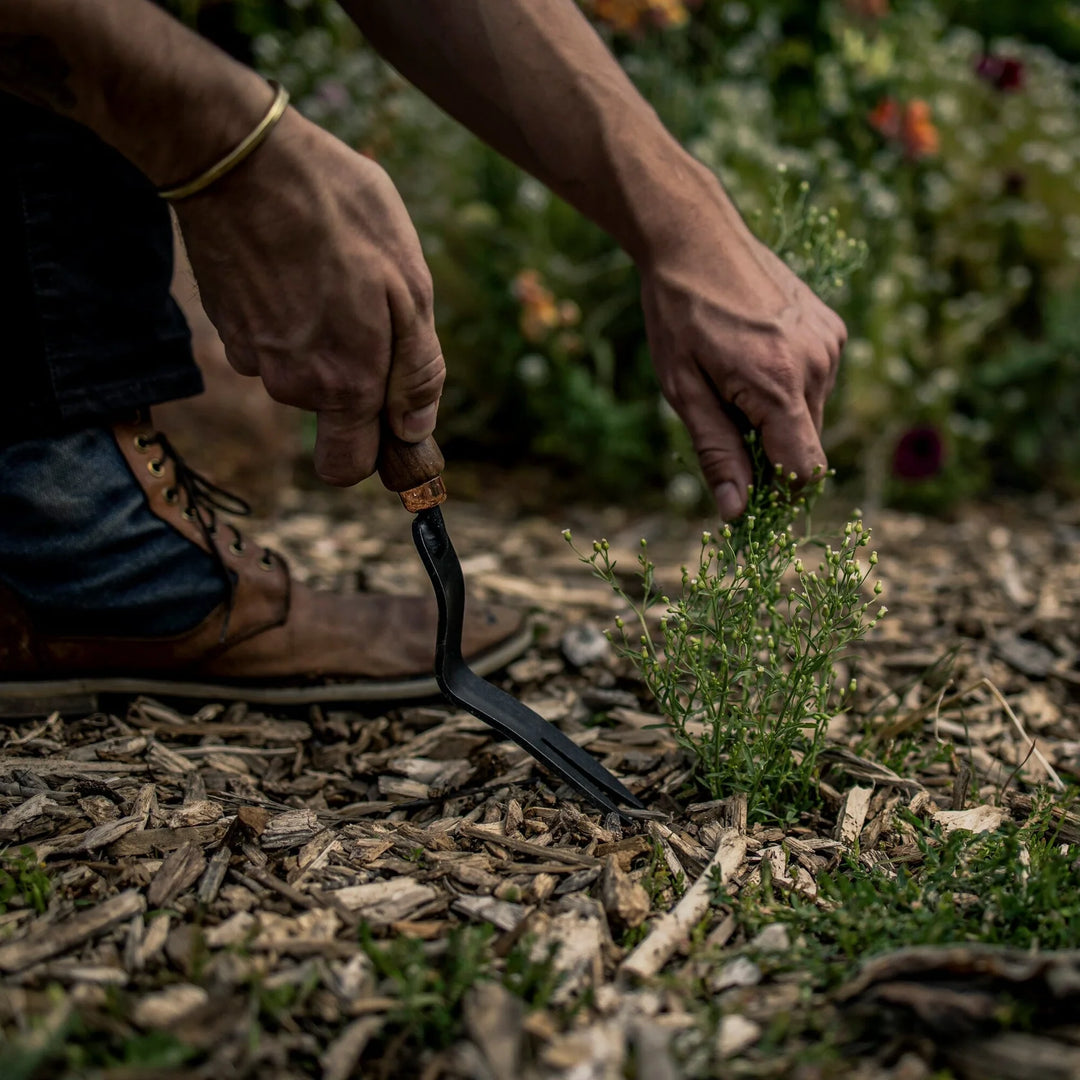 Barebones Dandelion Weeding Fork