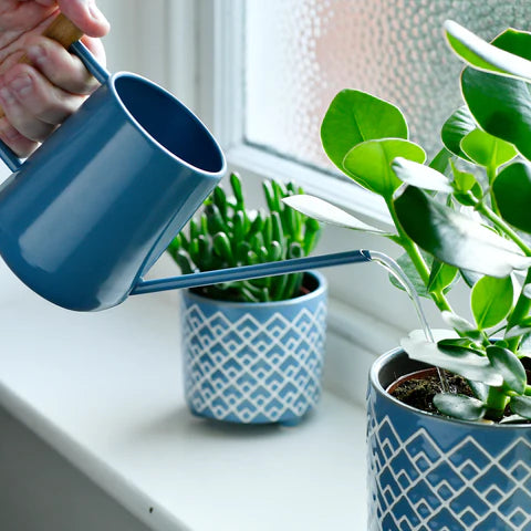 Burgon & Ball Indoor Watering Can - Heritage Blue