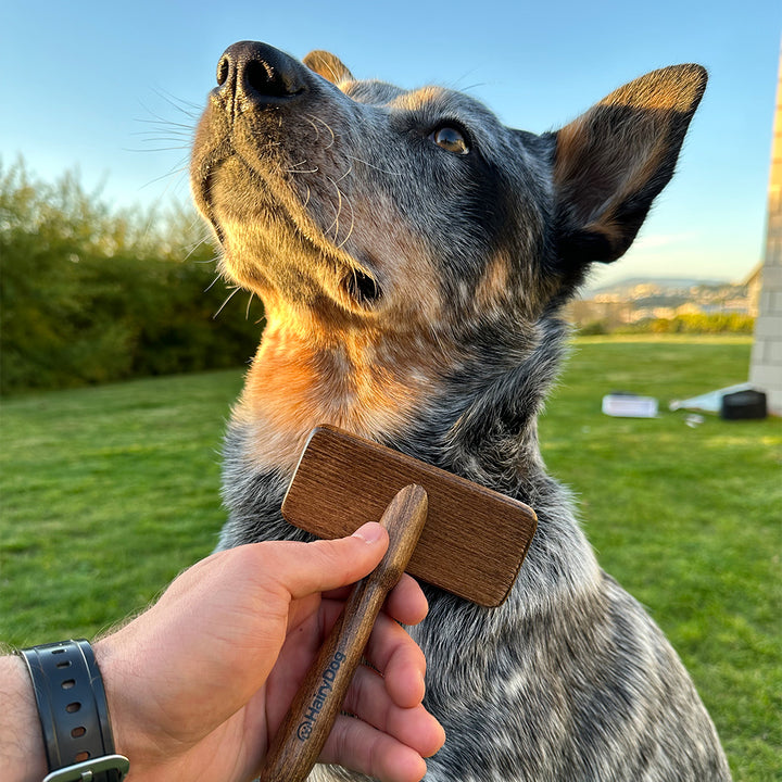 Hairy Dog Grooming Kit