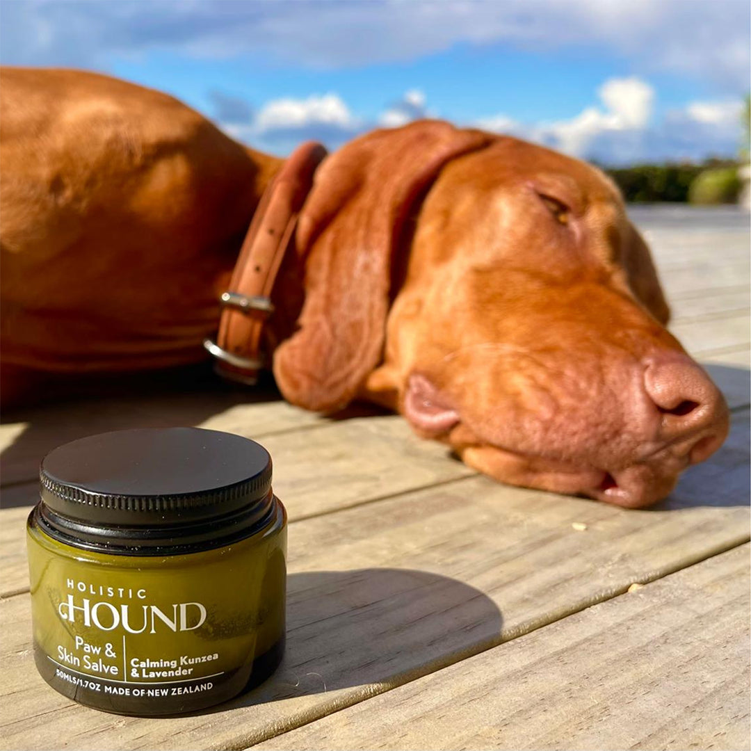 Holistic Hound - Dog Paw and Skin Salve (50ml)