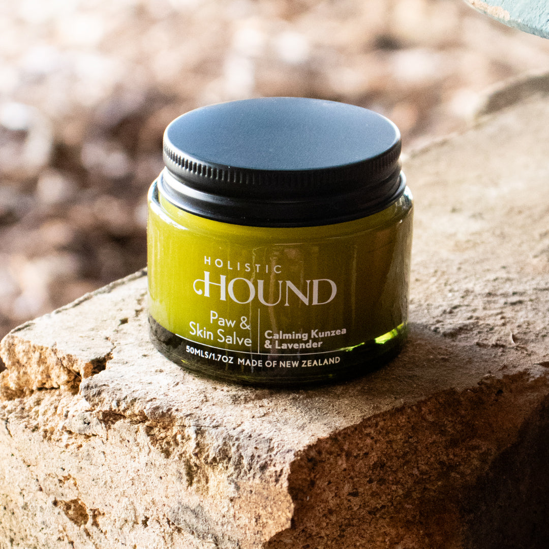 Holistic Hound - Dog Paw and Skin Salve (50ml)