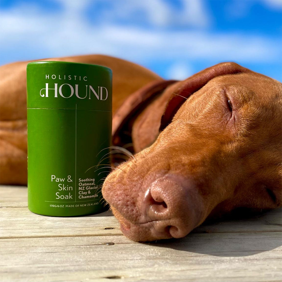 Holistic Hound - Dog Paw and Skin Soak (170g)