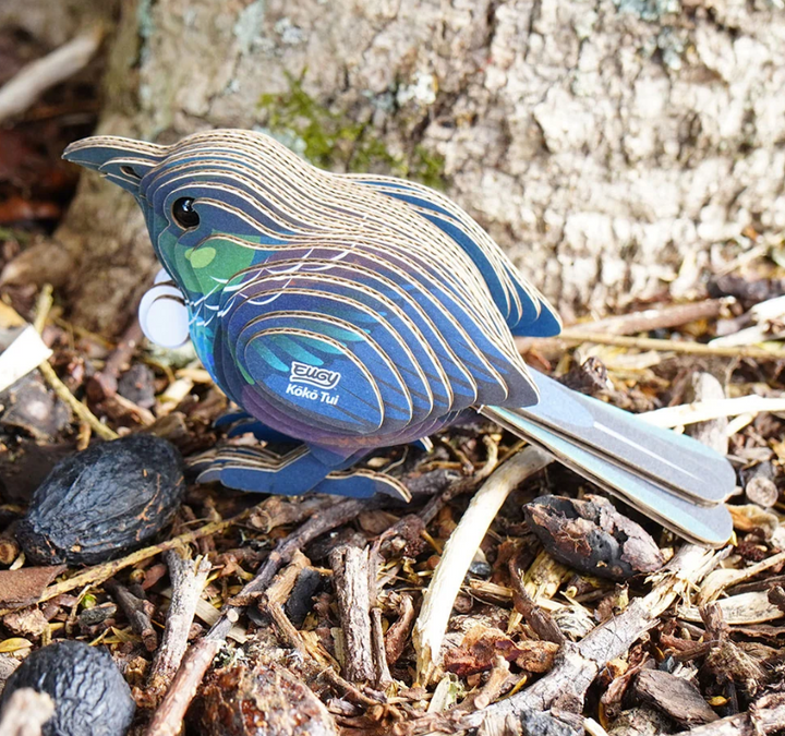 Kōkō Tūī EUGY