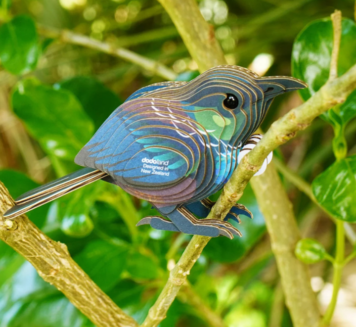 Kōkō Tūī EUGY