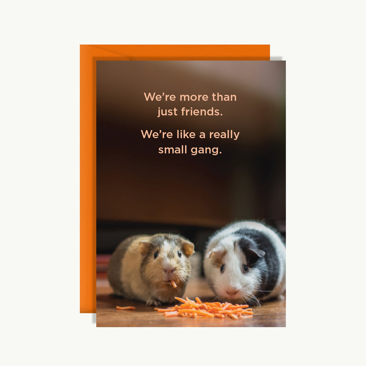 Friendship Card - We're more than just friends