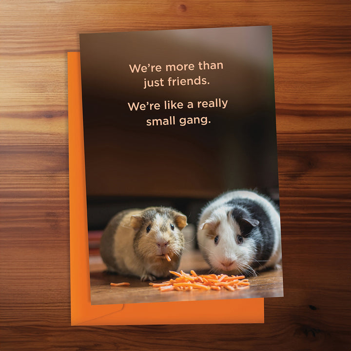 Friendship Card - We're more than just friends