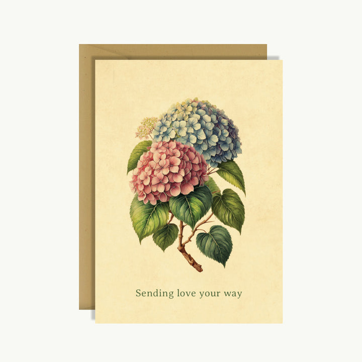 Friendship Card - Sending love your way (Hydrangea)