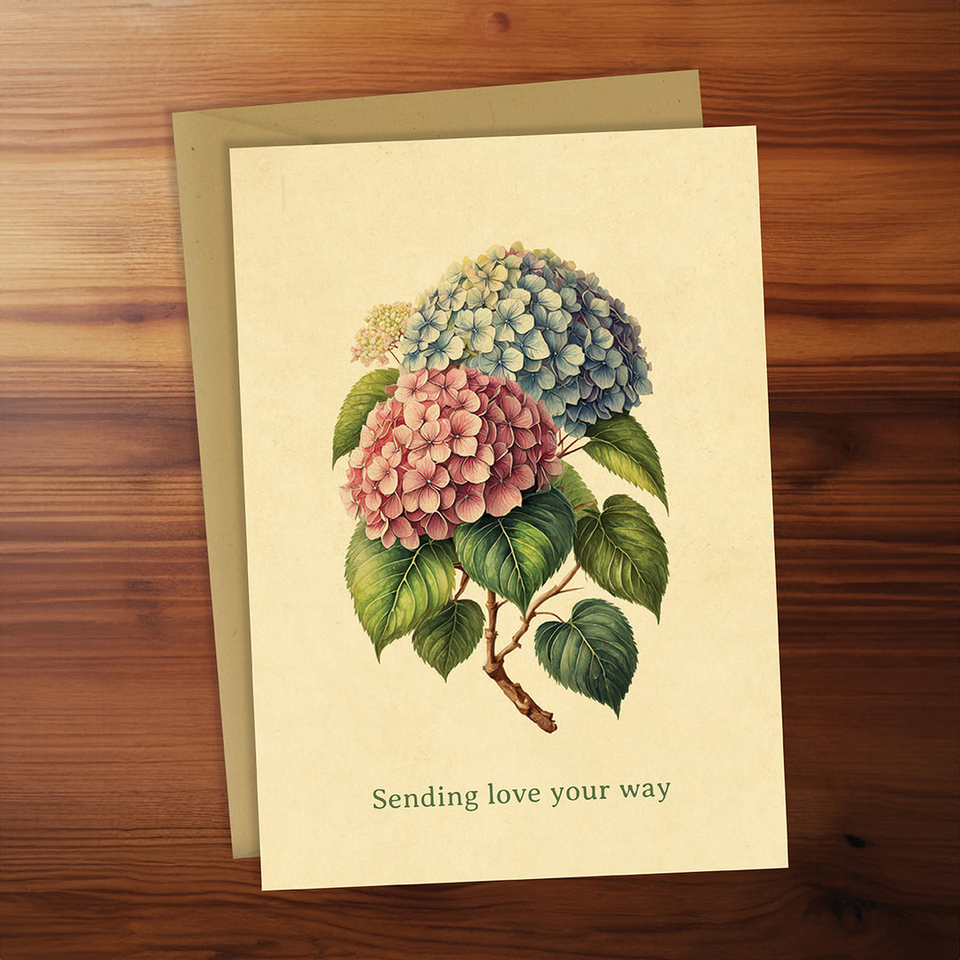 Friendship Card - Sending love your way (Hydrangea)