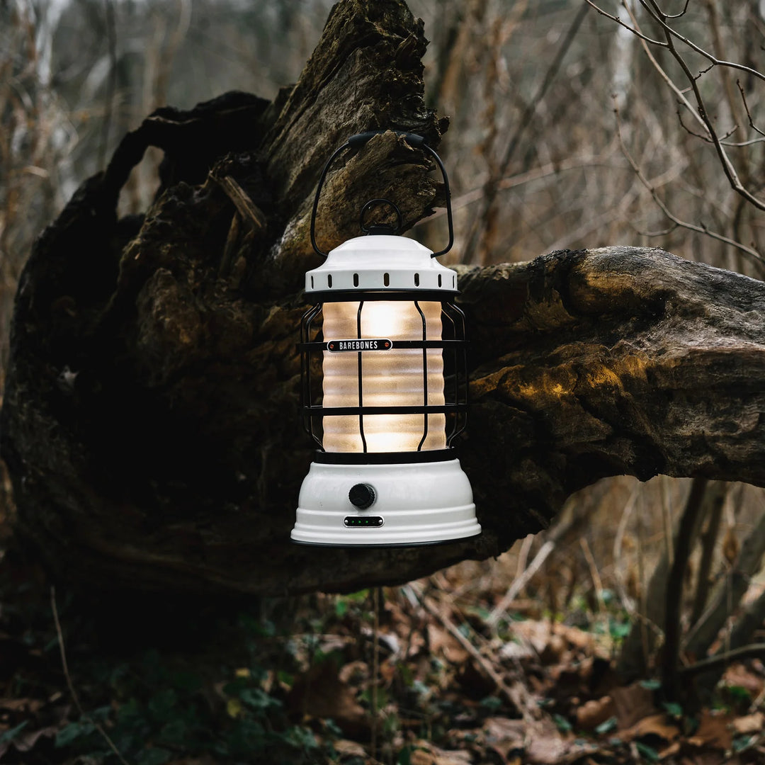 Barebones Forest Lantern - Vintage White