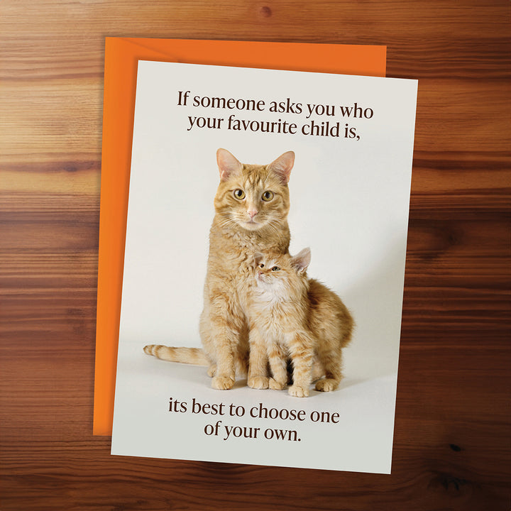 Card with two cats and humorous text on a wooden surface