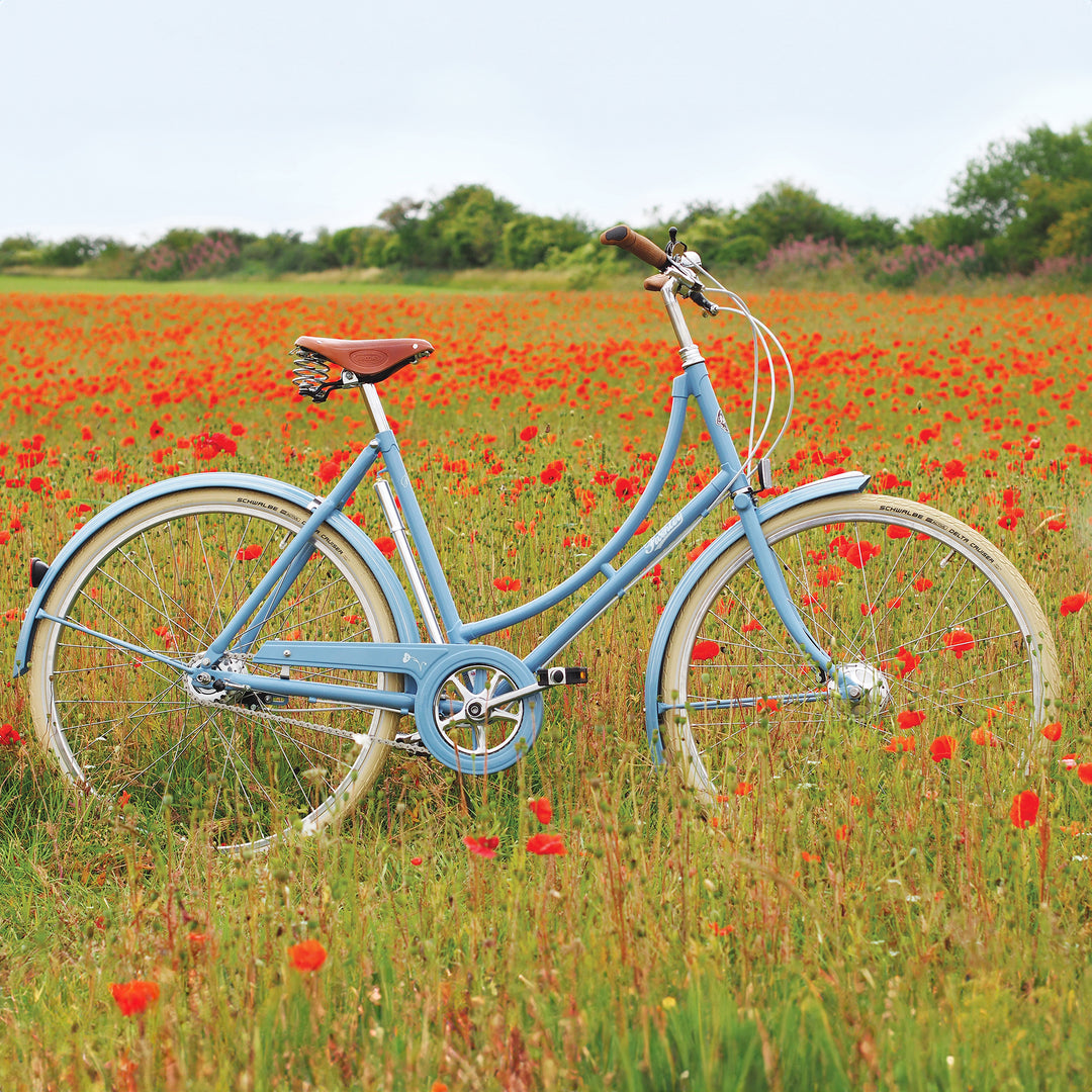 Pashley Britannia - Duck Egg Blue - 8 Speed