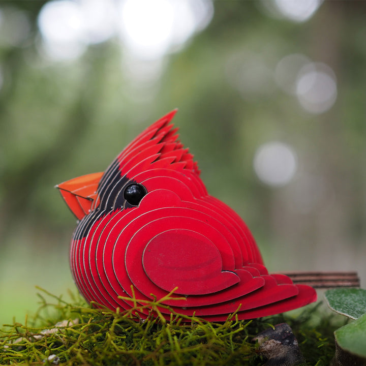Cardinal EUGY