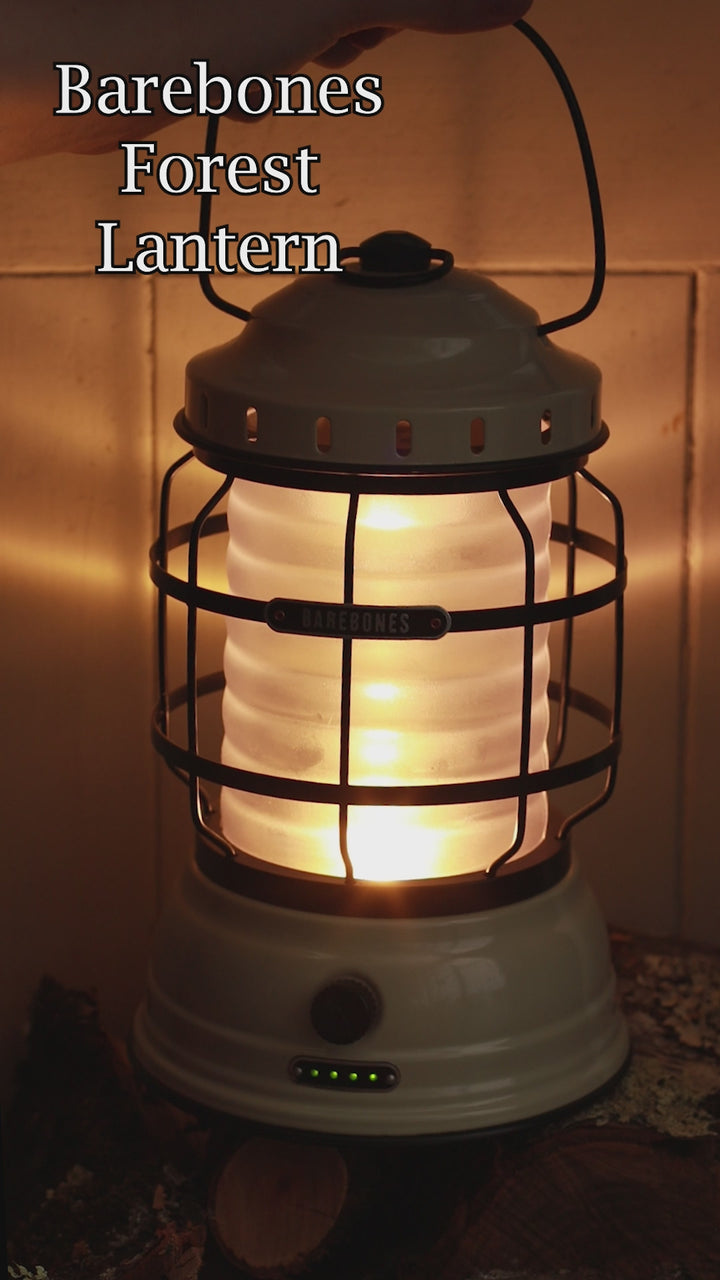 Barebones Forest Lantern - Vintage White