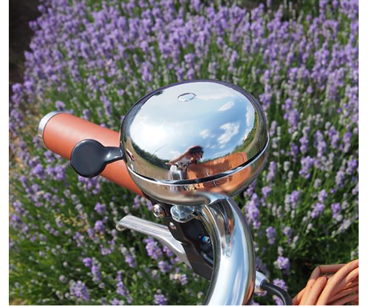 Large Pashley Ding Dong Bike Bell