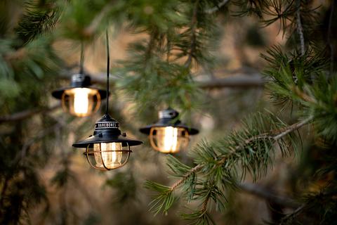 Barebones Edison String Lights