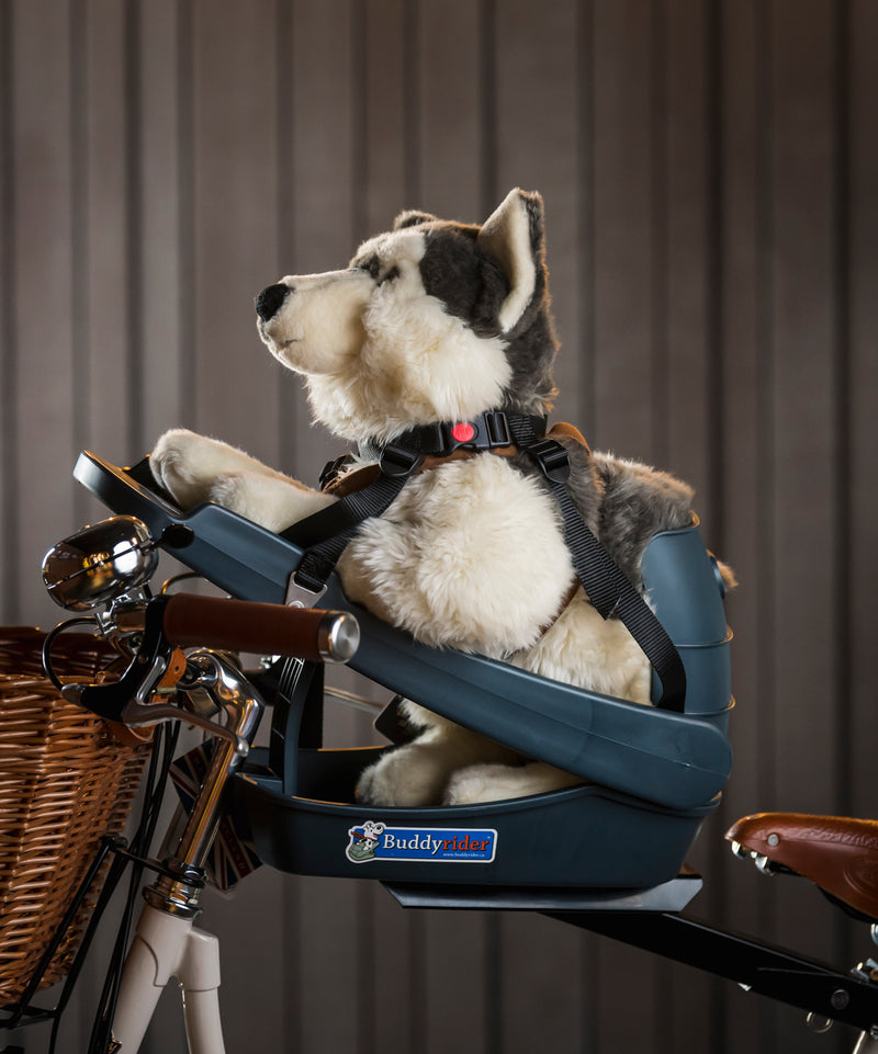 Buddyrider Bicycle Pet Seat