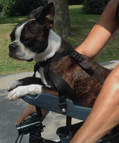 Buddyrider Bicycle Pet Seat
