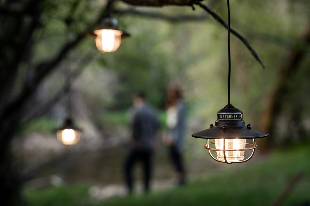 Barebones Edison String Lights